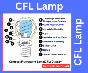 Illustration showing construction and working of a Compact Fluorescent Lamp (CFL)