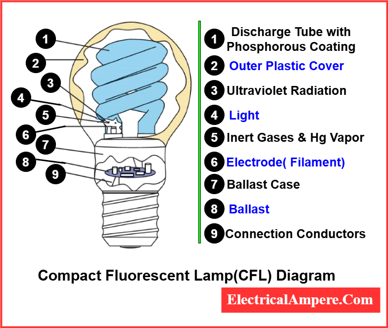Labeled diagram showing internal parts of a CFL bulb including tube, electrodes, phosphor coating, and ballast.